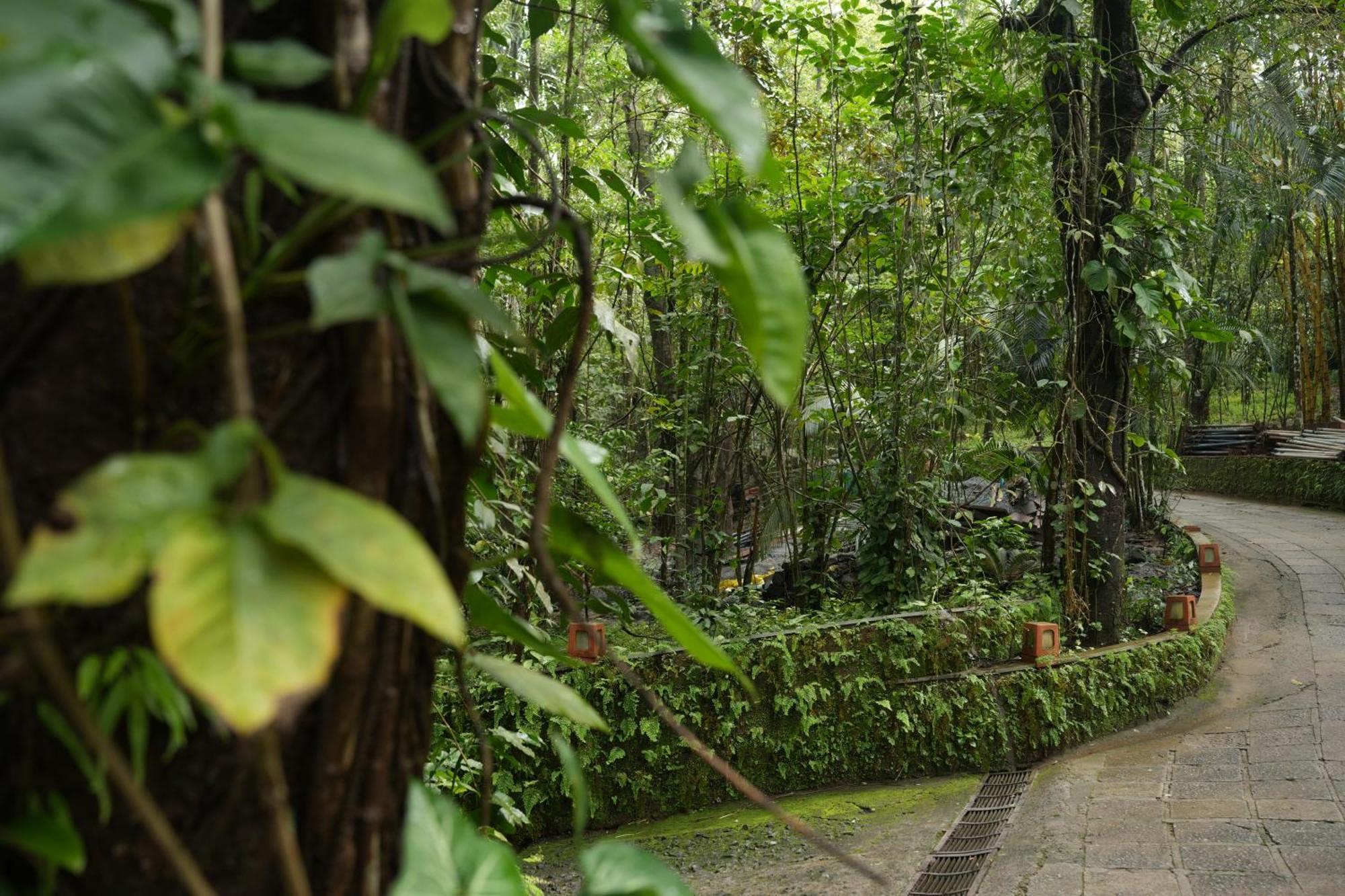 Wayanad Silverwoods Forest Resort & Spa Padinjarathara Экстерьер фото