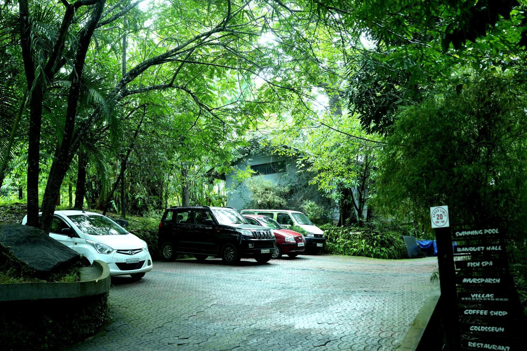 Wayanad Silverwoods Forest Resort & Spa Padinjarathara Экстерьер фото